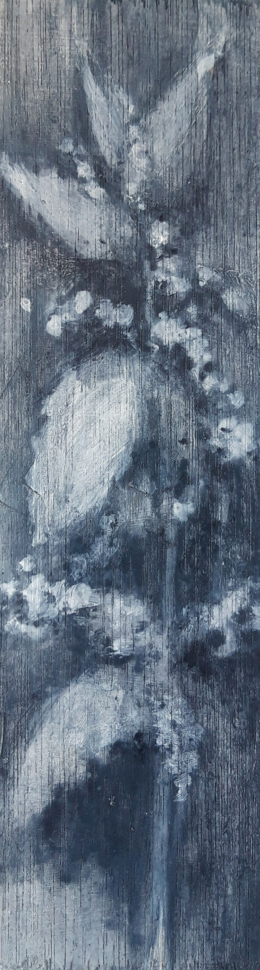 Urtica 2