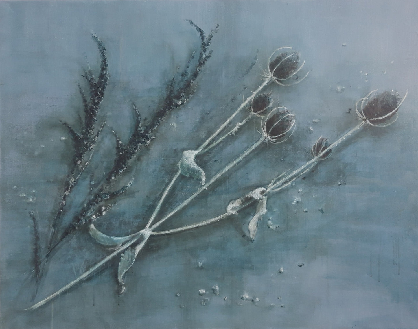 The Prolific Life of Weeds 2